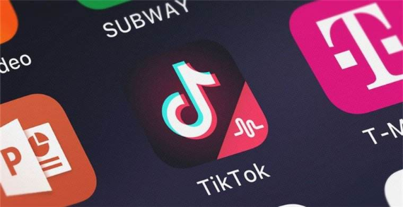 Tiktok Pet Funny Videos Go Viral, Happy Moments Shared 